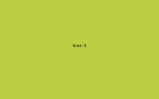 Slider 3